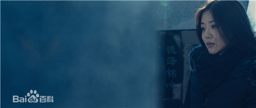 邓家佳(Deng Jiajia)《无证之罪》剧照