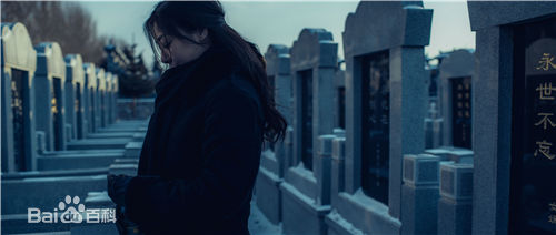 邓家佳(Deng Jiajia)《无证之罪》剧照