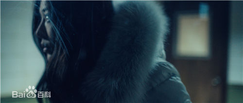 邓家佳(Deng Jiajia)《无证之罪》剧照