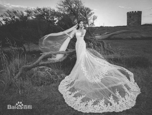 邓家佳(Deng Jiajia)婚纱照图册