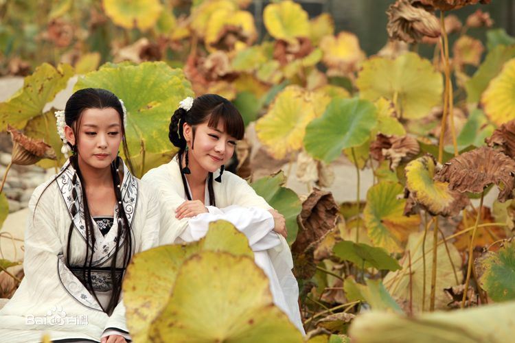 精选邓家佳(Deng Jiajia)精彩图册