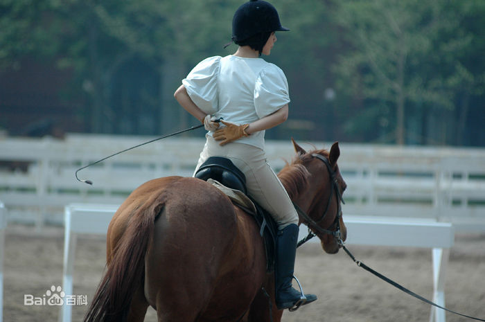 精选邓家佳(Deng Jiajia)精彩图册