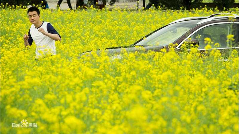 张梓琳(Eilin(Eileen))我的早更女友剧照