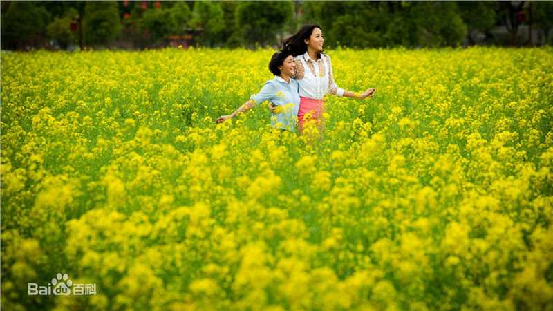 张梓琳(Eilin(Eileen))我的早更女友剧照