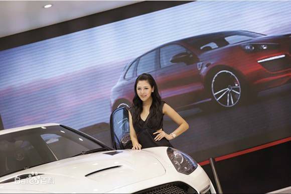 杨若兮车展照