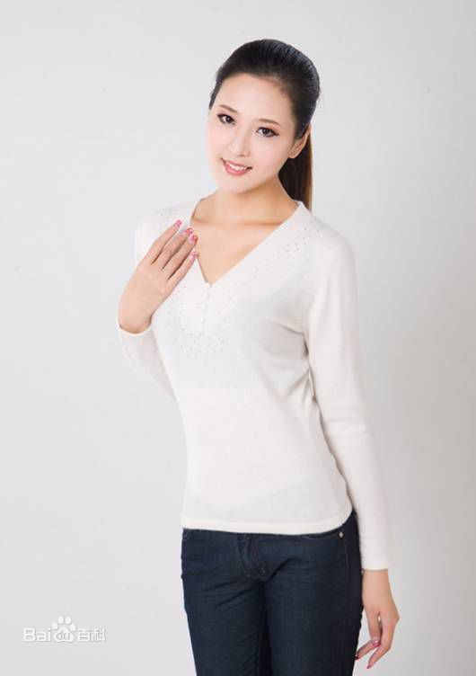 《杨若兮》封面图片