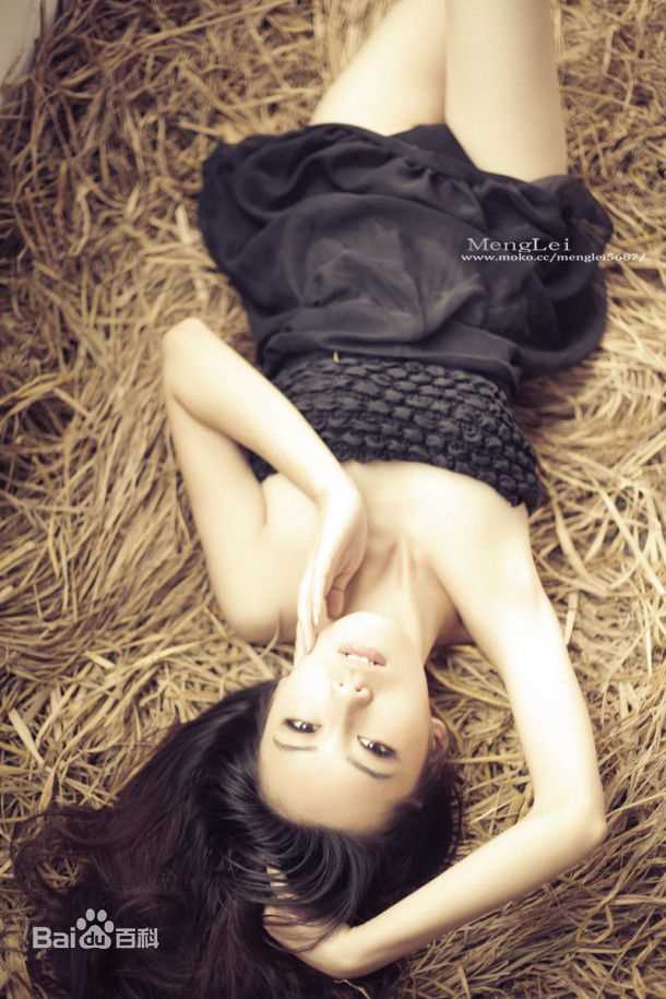 《杨若兮》封面图片