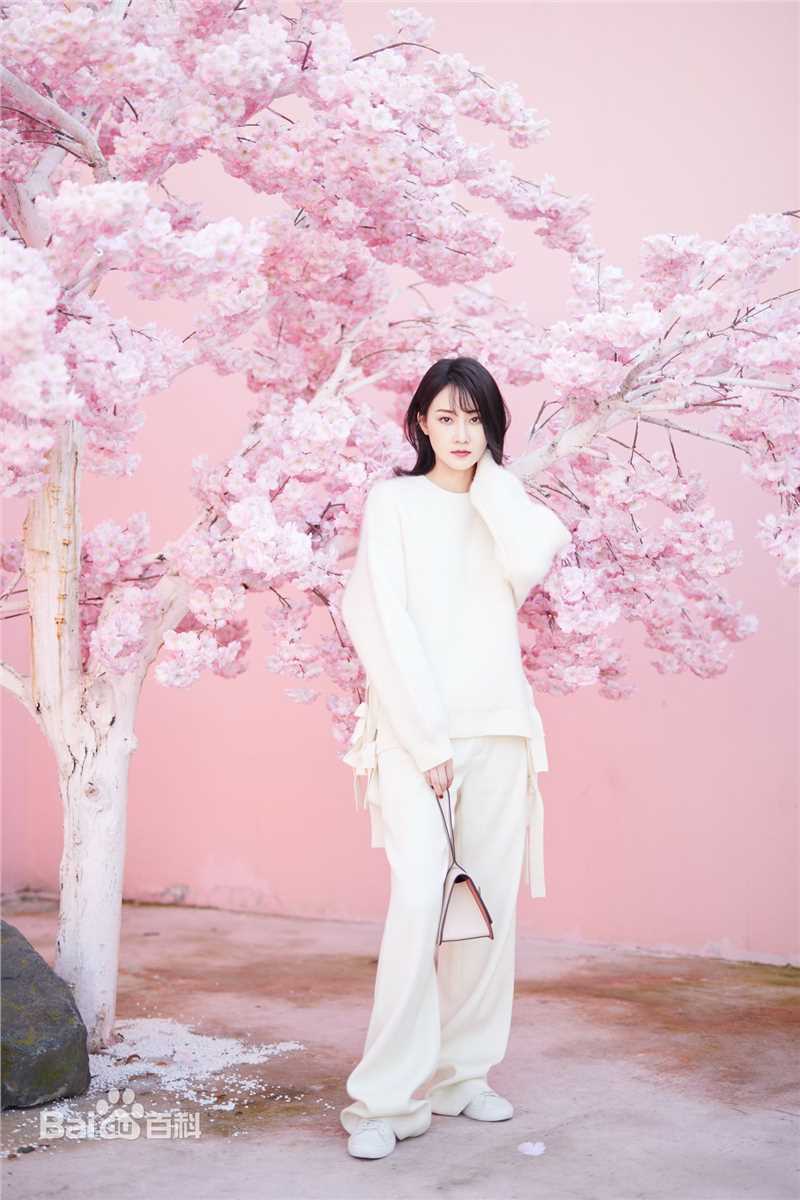 《林鹏》封面图片