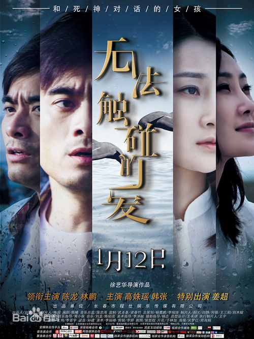 《林鹏》封面图片