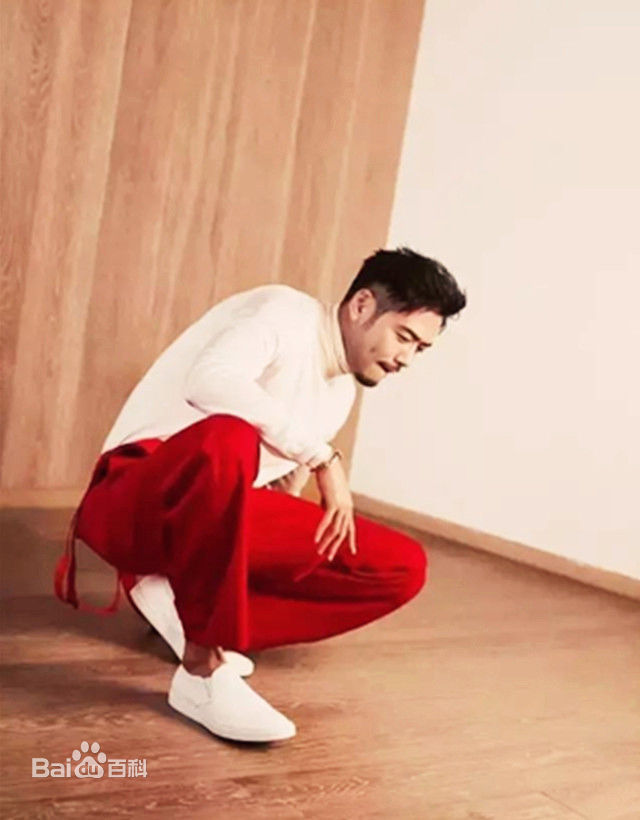 《杨烁》封面图片