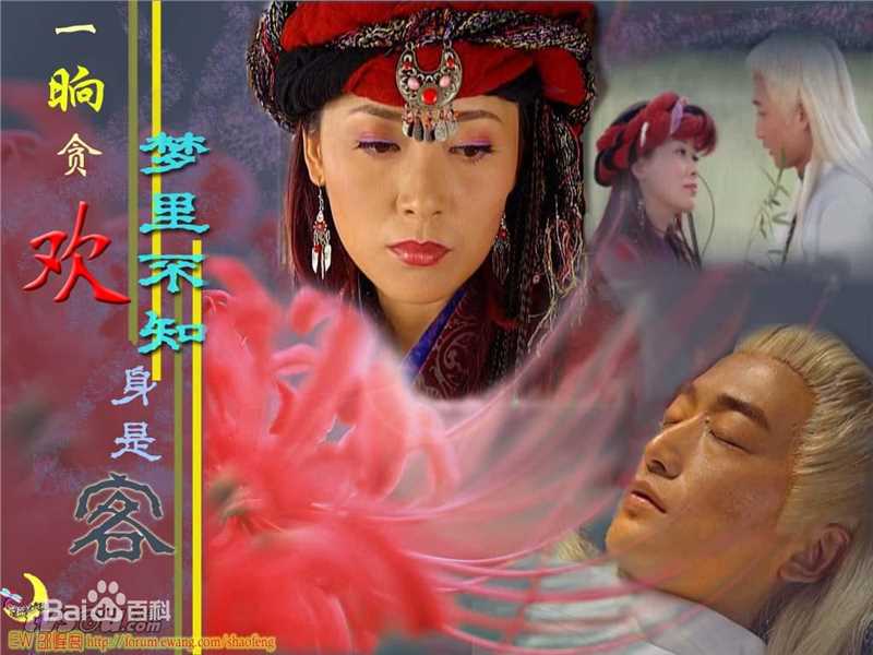 《丁嘉丽》封面图片