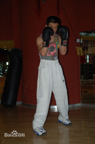 《任天野》精彩图册