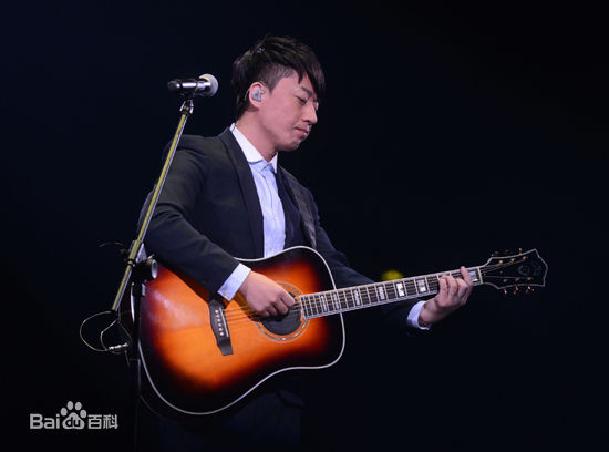 《张磊》封面图片