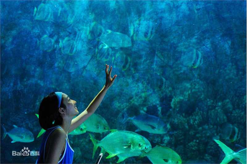 高清苏慧伦(TarcySu)精彩图册