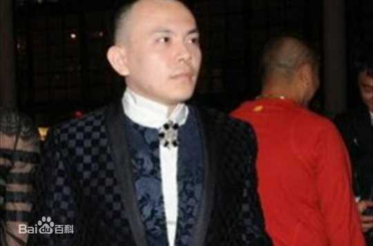 《王珂》封面图片