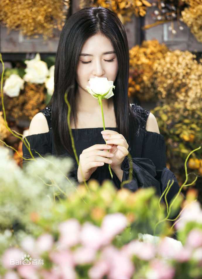 谢娜(Nana)精选图册