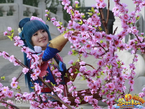 谢娜(Nana)代言梦幻诛仙图片图集