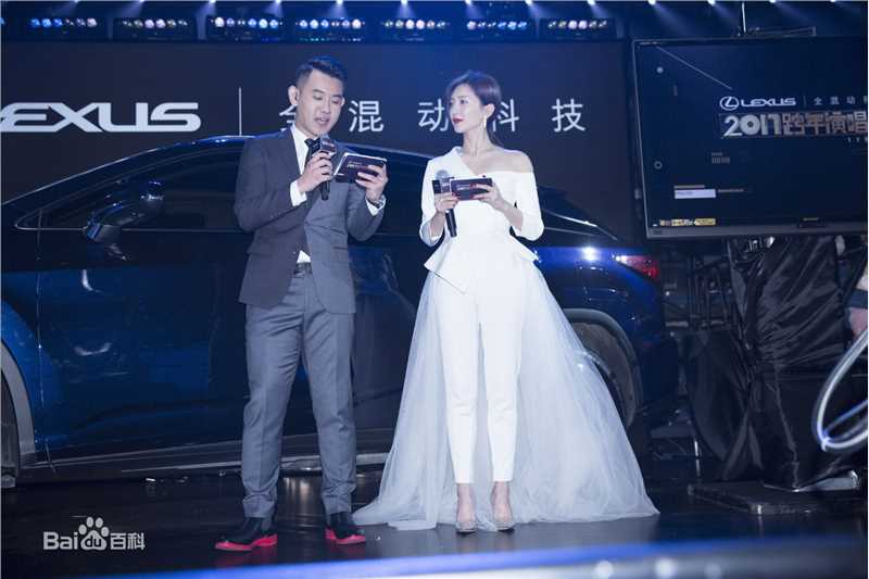 江疏影(Jiang Shuying)2016-2017江苏卫视跨年晚会壁纸壁纸