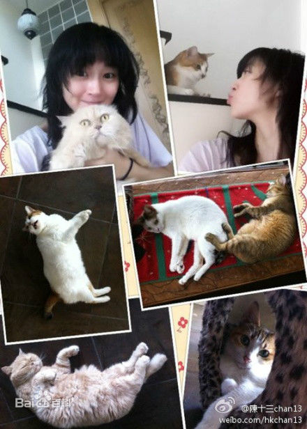 万绮雯(Joey Meng Yee Man)微博图片1生活照相册