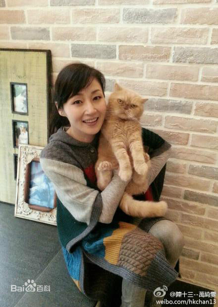 万绮雯(Joey Meng Yee Man)微博图片2壁纸壁纸