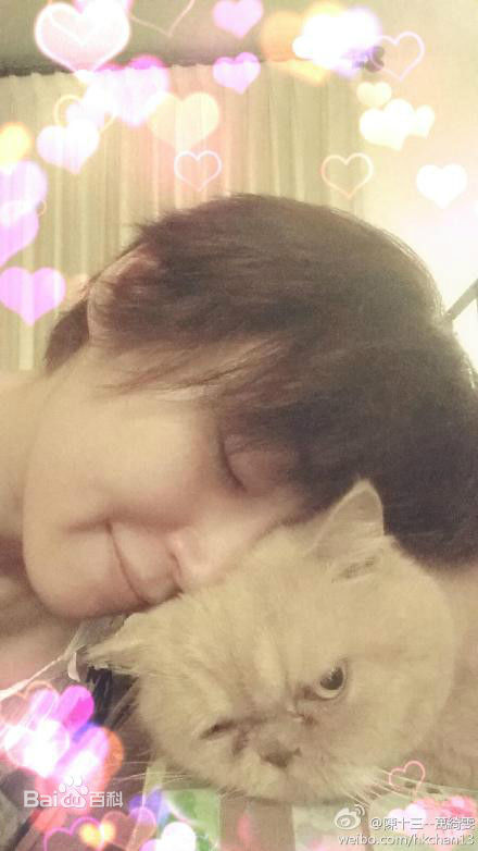 万绮雯(Joey Meng Yee Man)微博图片3壁纸壁纸