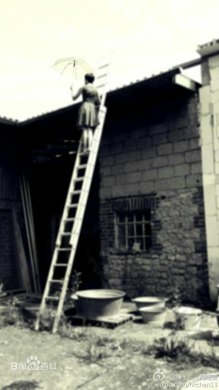 万绮雯(Joey Meng Yee Man)微博图片3壁纸壁纸