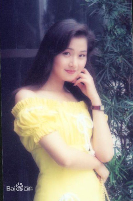 万绮雯(Joey Meng Yee Man)早期照壁纸壁纸