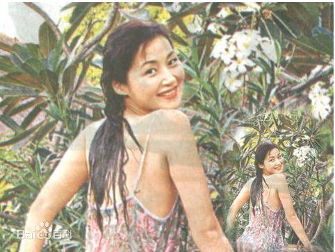 万绮雯(Joey Meng Yee Man)早期照壁纸壁纸