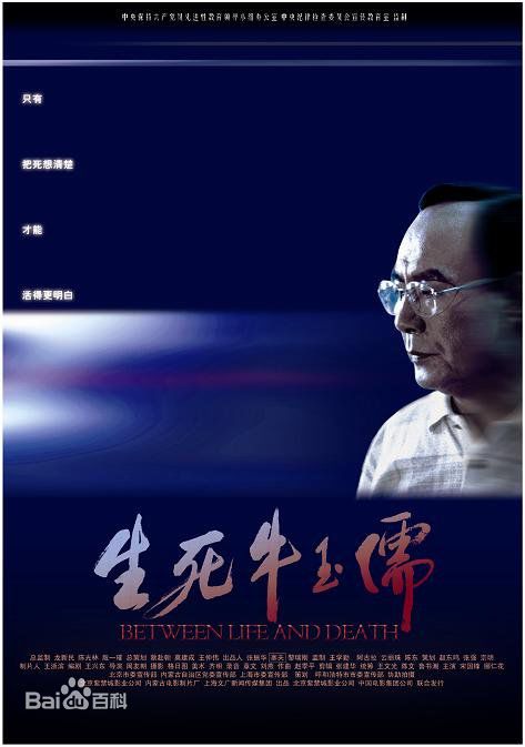 《王大治》封面图片