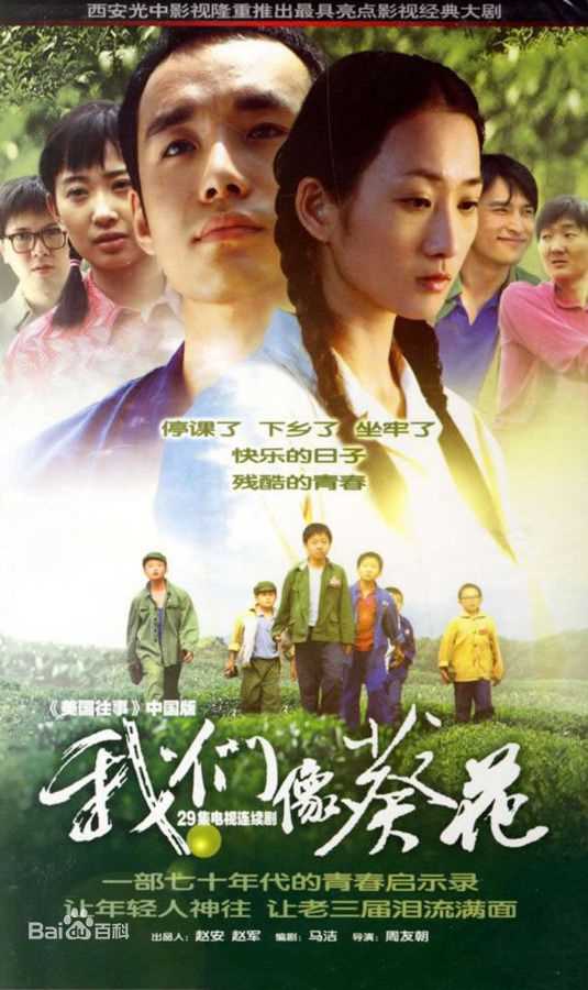 《王大治》封面图片