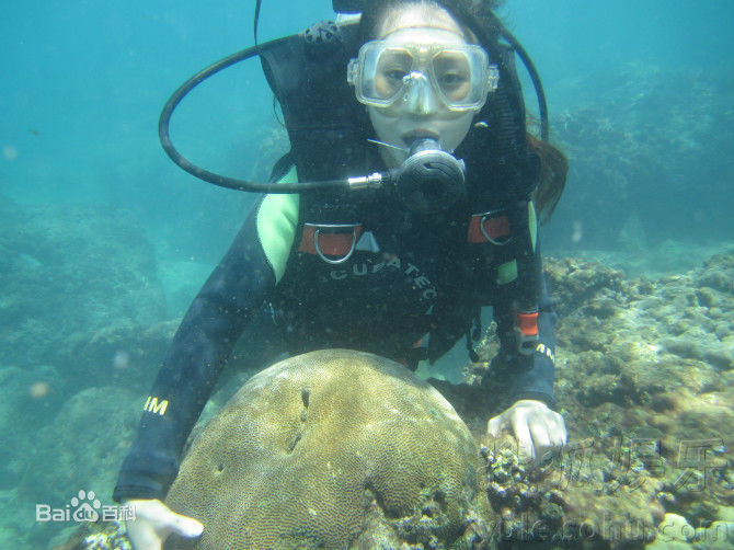 邓紫衣精彩图册