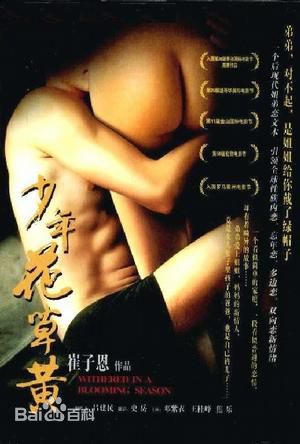 《邓紫衣》封面图片