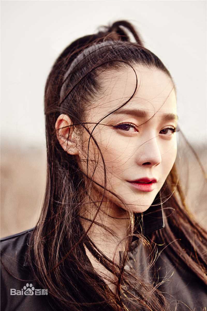 《邓紫衣》封面图片