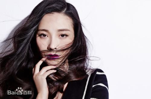 《邓紫衣》封面图片