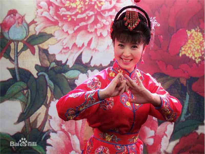 闫学晶影视作品（2005-2010）