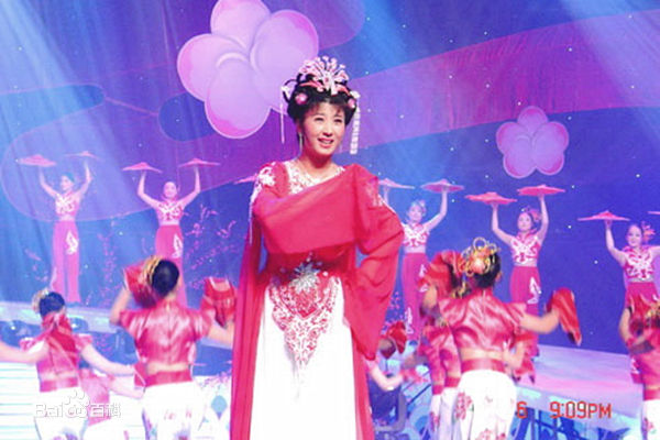 闫学晶二人转作品