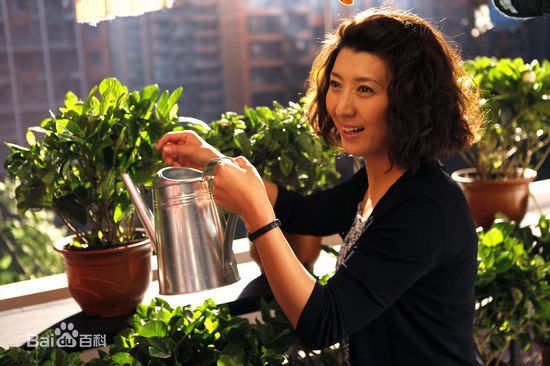 闫学晶影视作品（2011-2013）