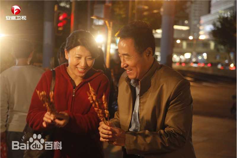 闫学晶影视作品（2011-2013）