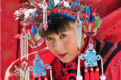 闫学晶影视作品（2011-2013）