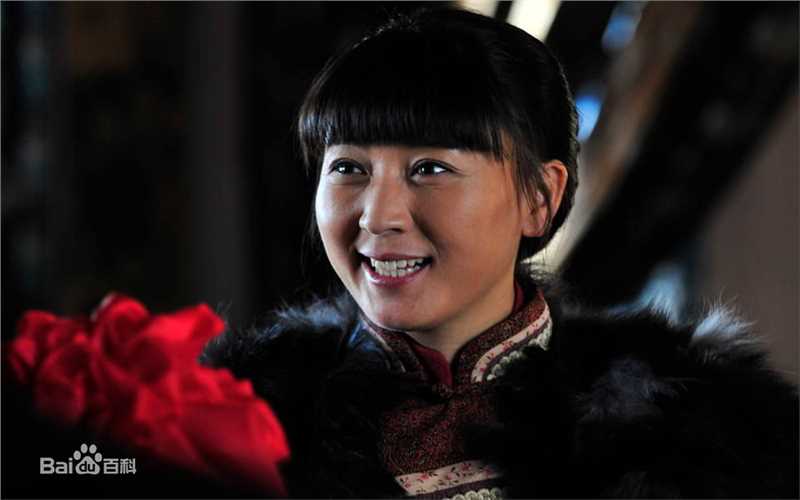 闫学晶影视作品（2011-2013）