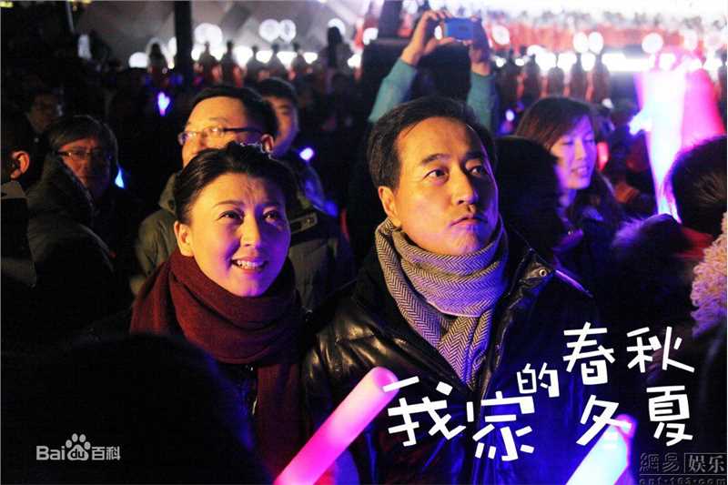 闫学晶影视作品（2011-2013）