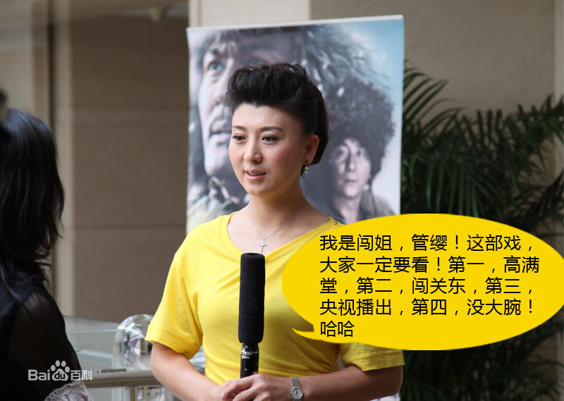 闫学晶影视作品（2011-2013）