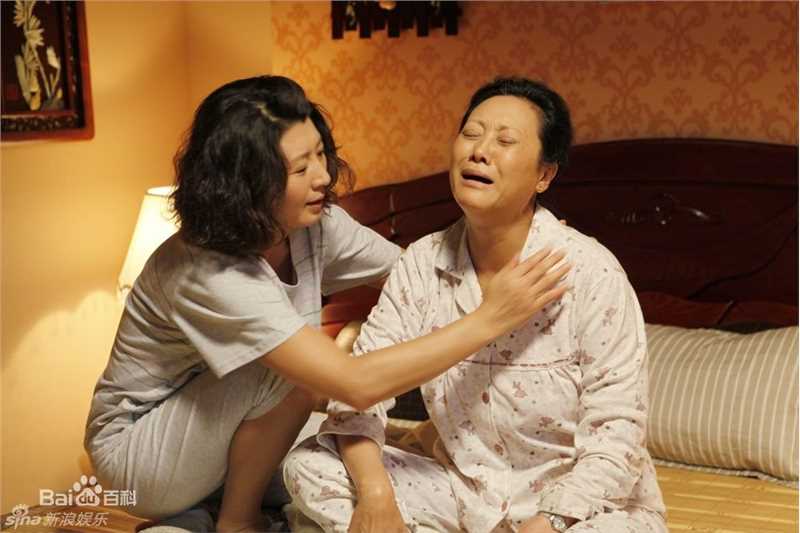 闫学晶影视作品（2011-2013）