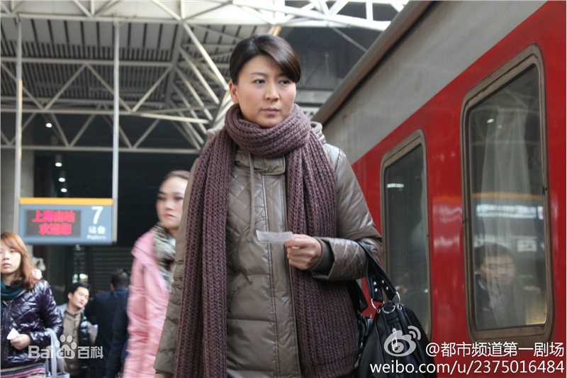 闫学晶影视作品（2011-2013）