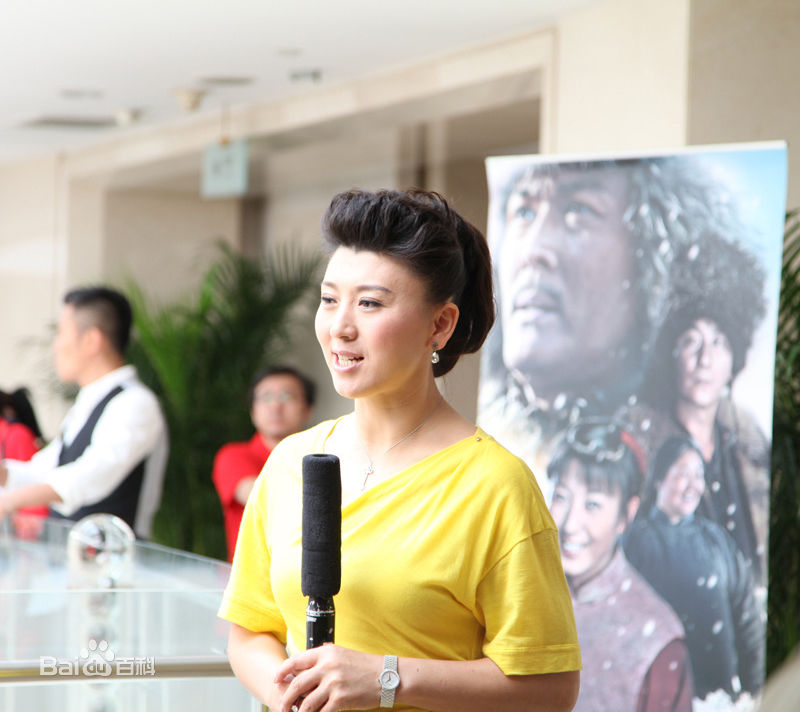 闫学晶影视作品（2011-2013）