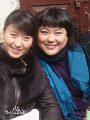 闫学晶影视作品（2011-2013）