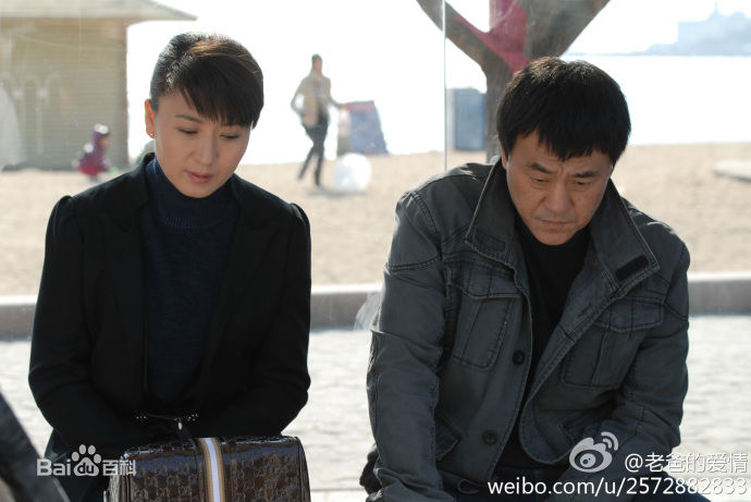 闫学晶影视作品（2011-2013）