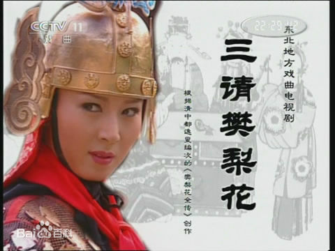 戏曲电视剧《三请樊梨花》