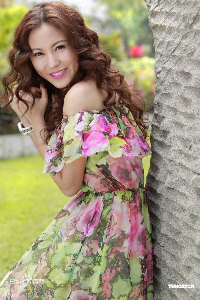 刘心悠(Annie Liu (Annie Lau))2013