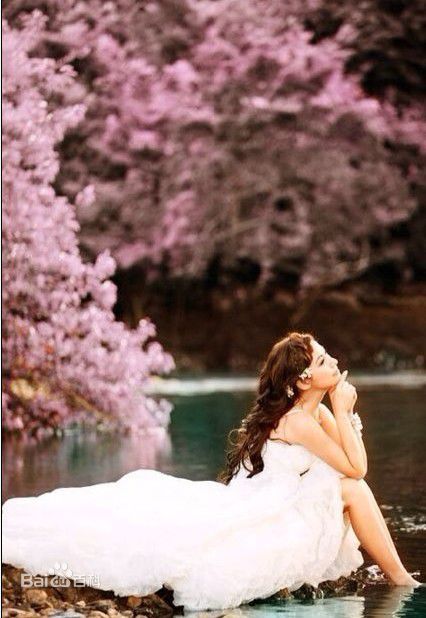 最新刘心悠(Annie Liu (Annie Lau))精彩图册